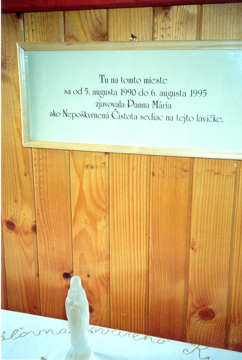  zv�t�en� obr�zek... 